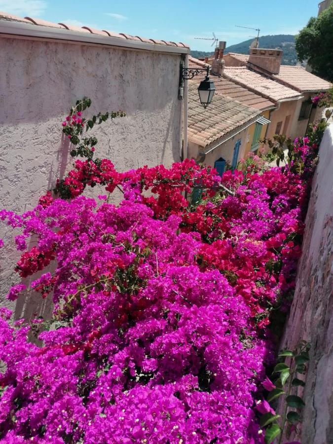 Beautiful Renovated Studio With View- Old Hyeres Exterior photo