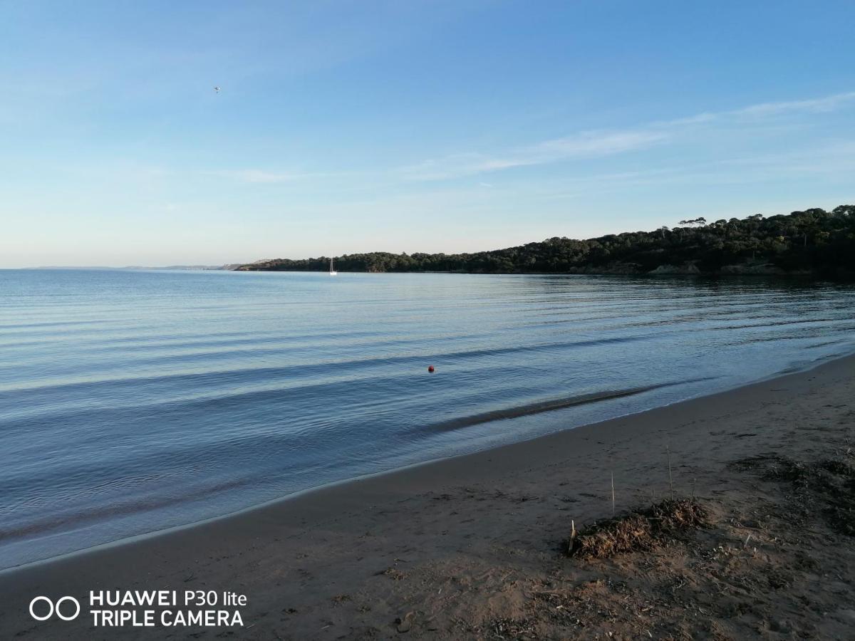 Beautiful Renovated Studio With View- Old Hyeres Exterior photo
